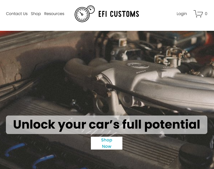 efi customs